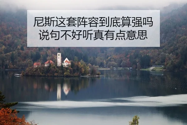 尼斯这套阵容到底算强吗 说句不好听真有点意思